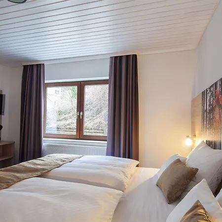 Western Schwarzwald Residenz מלון 3*