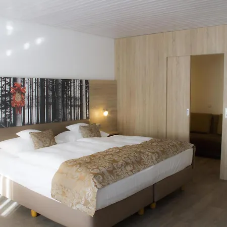 Western Schwarzwald Residenz Hotel 3*