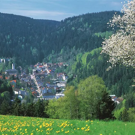 מלון Western Schwarzwald Residenz טריברג