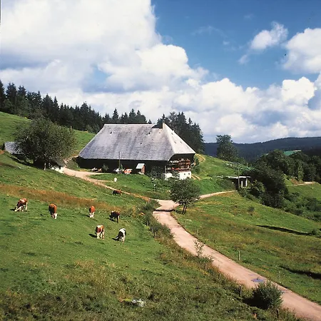 Western Schwarzwald Residenz فندق تيبرغ