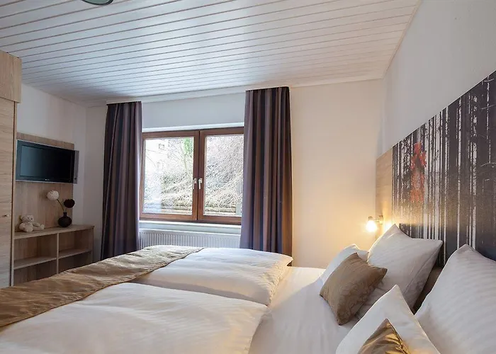 Western Schwarzwald Residenz Hotel 3*