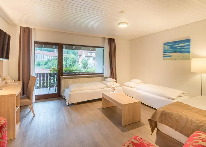 Western Schwarzwald Residenz Hotel 3*