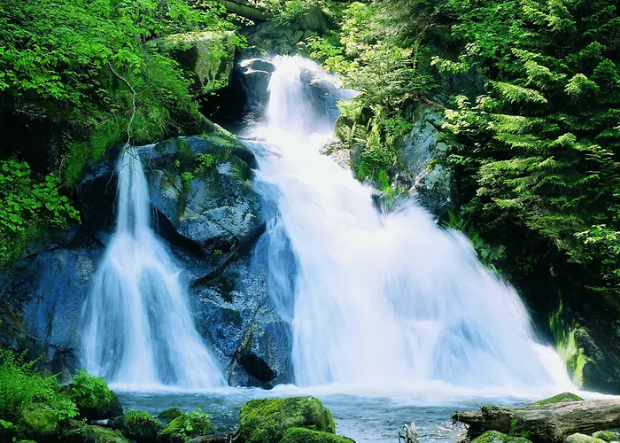 Western Schwarzwald Residenz