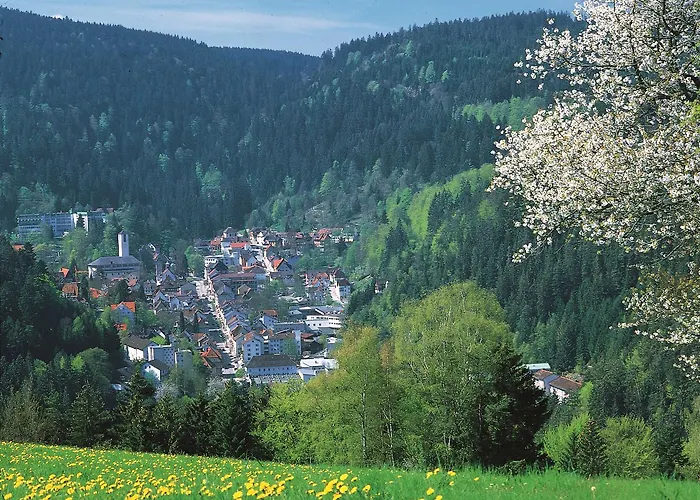 Hotel Western Schwarzwald Residenz Triberg im Schwarzwald