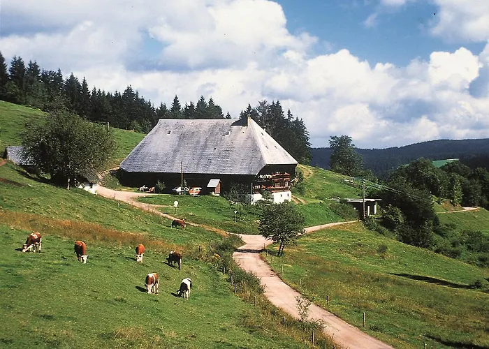 Western Schwarzwald Residenz Hotel Triberg im Schwarzwald
